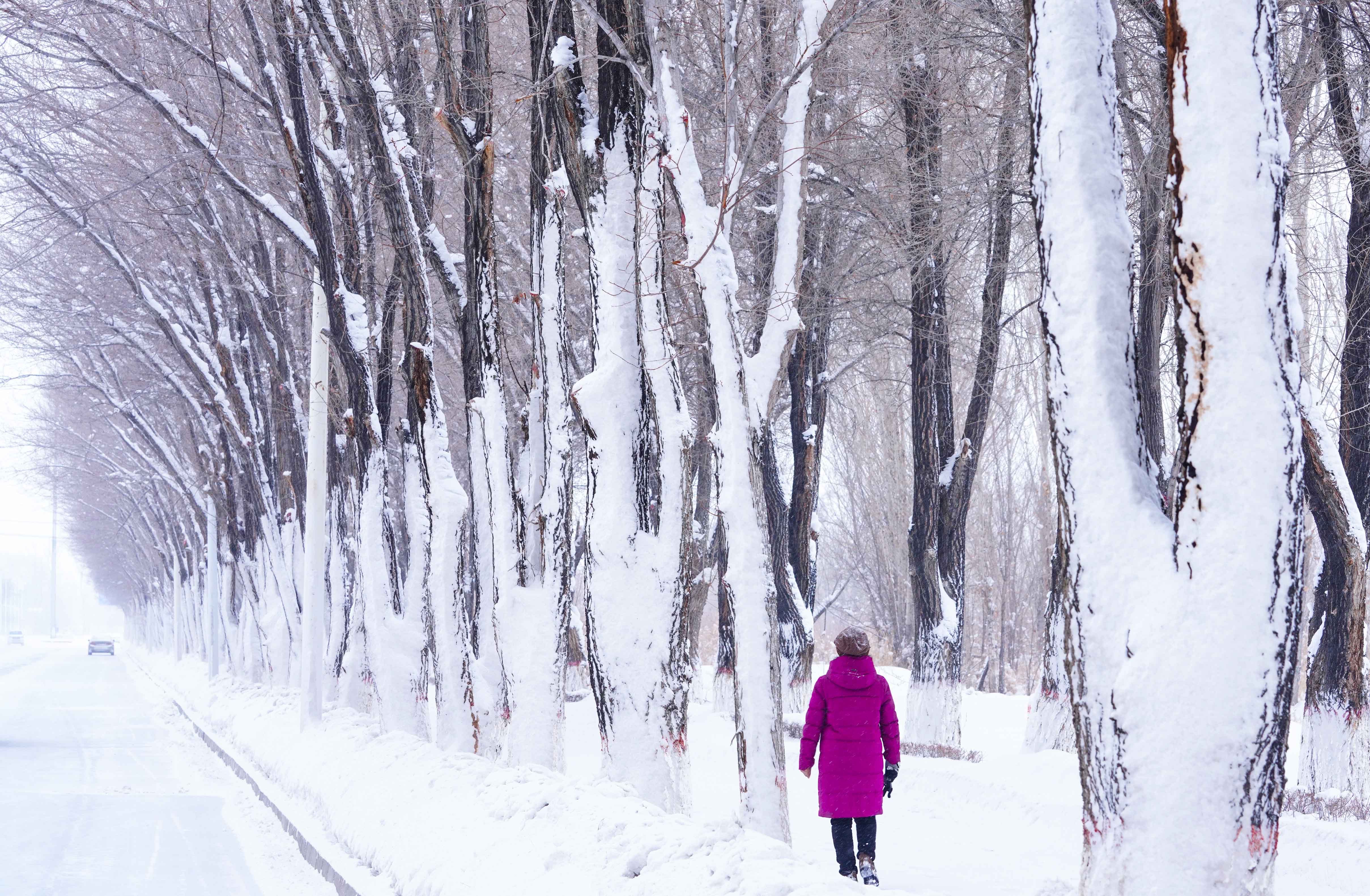 雪中漫步的行人。