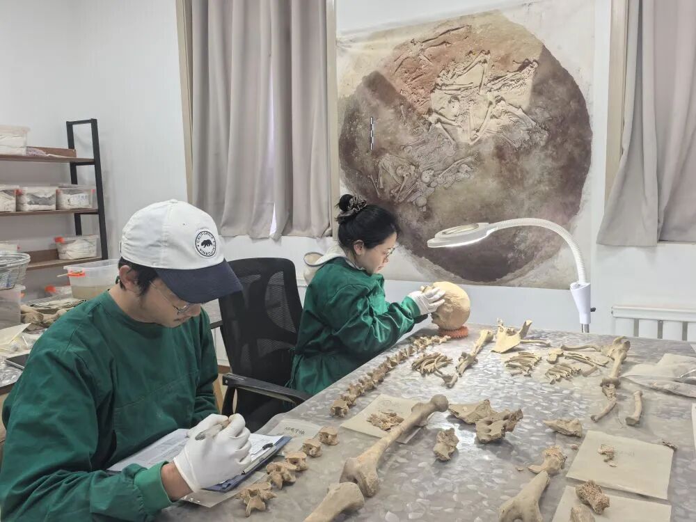 专家对出土人骨进行整理研究。（中国社科院供图）