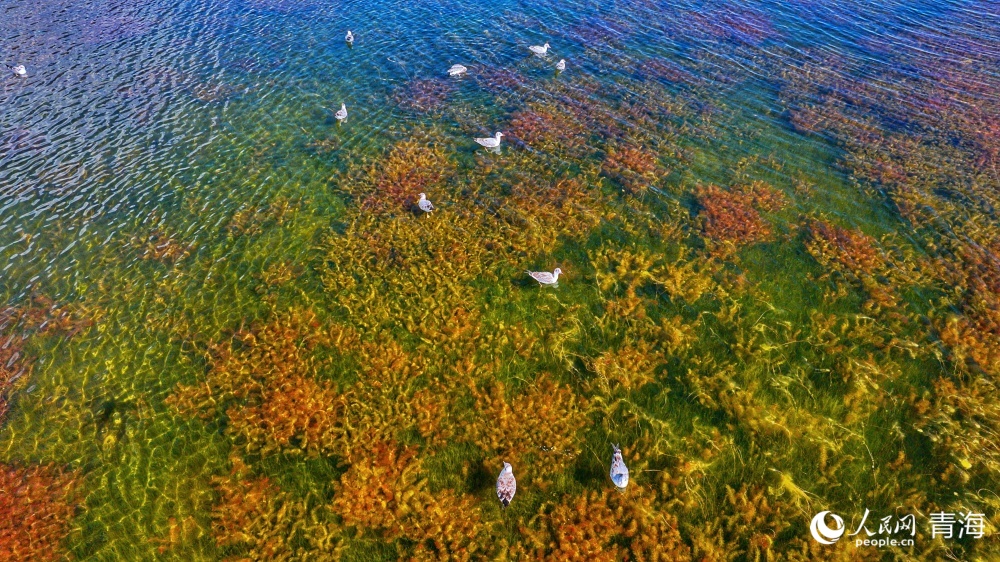 冬格措纳湖。人民网 况玉摄