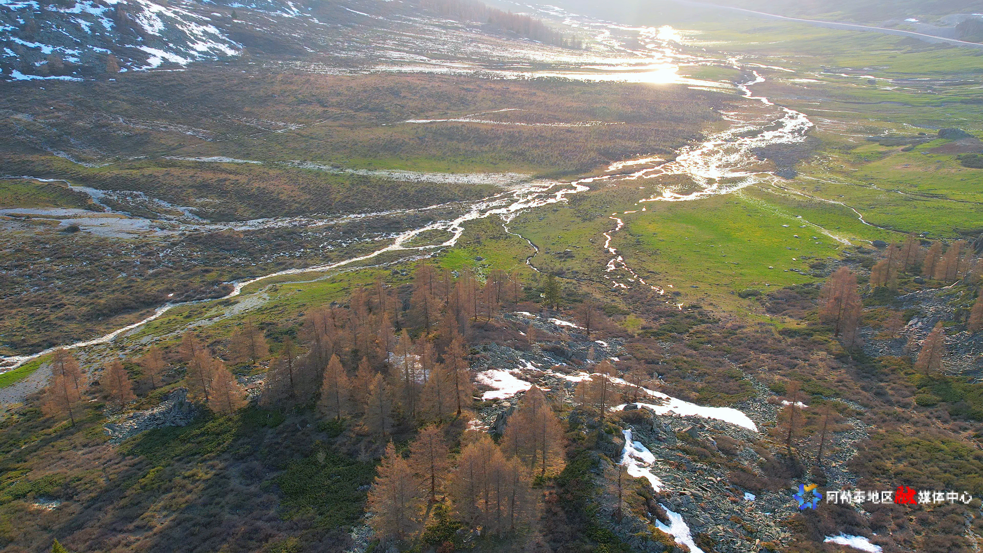 Image_1747629357171