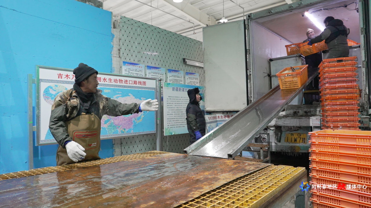 mmexport1766421141219