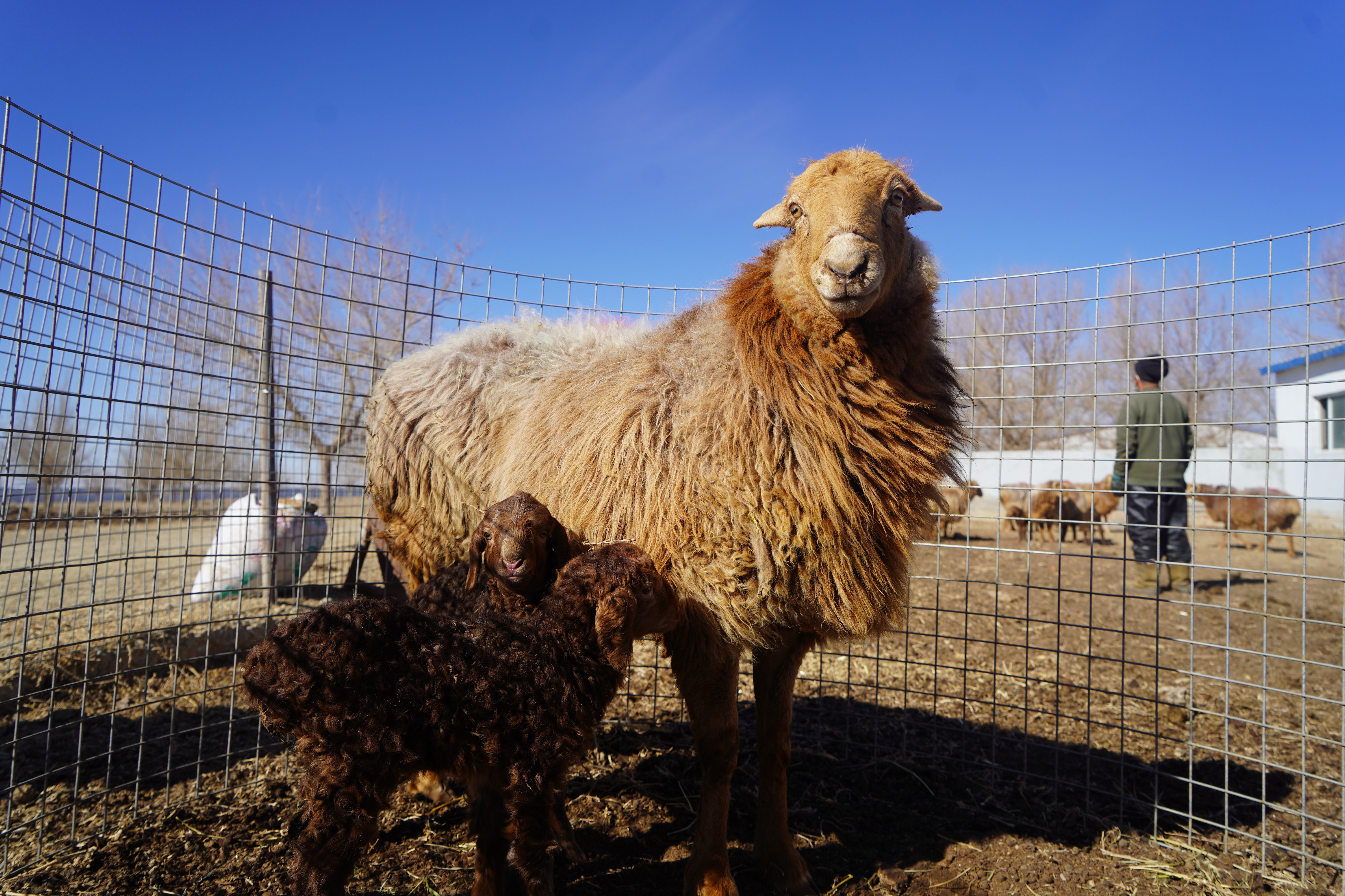 mmexport1776572806889