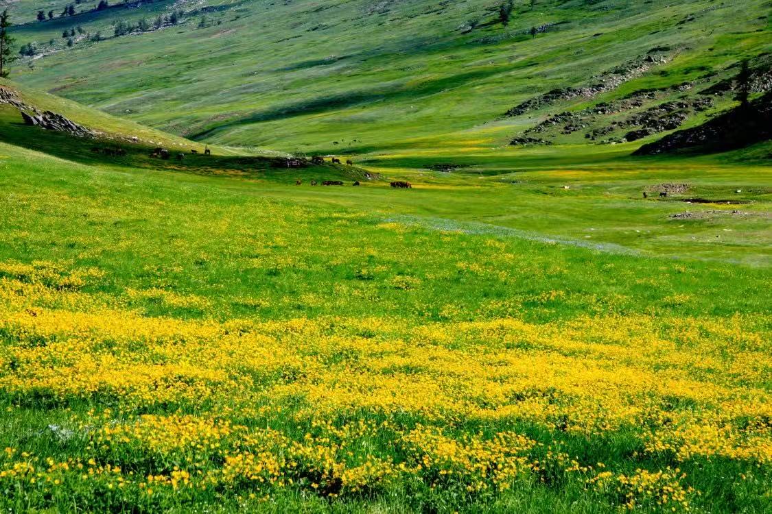 mmexport1776777485342