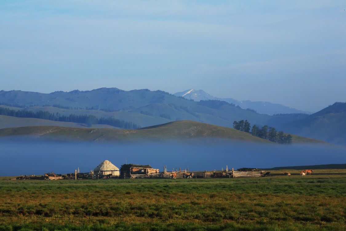 mmexport1776777487910