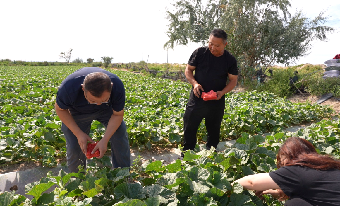 Still0727_00019.jpg