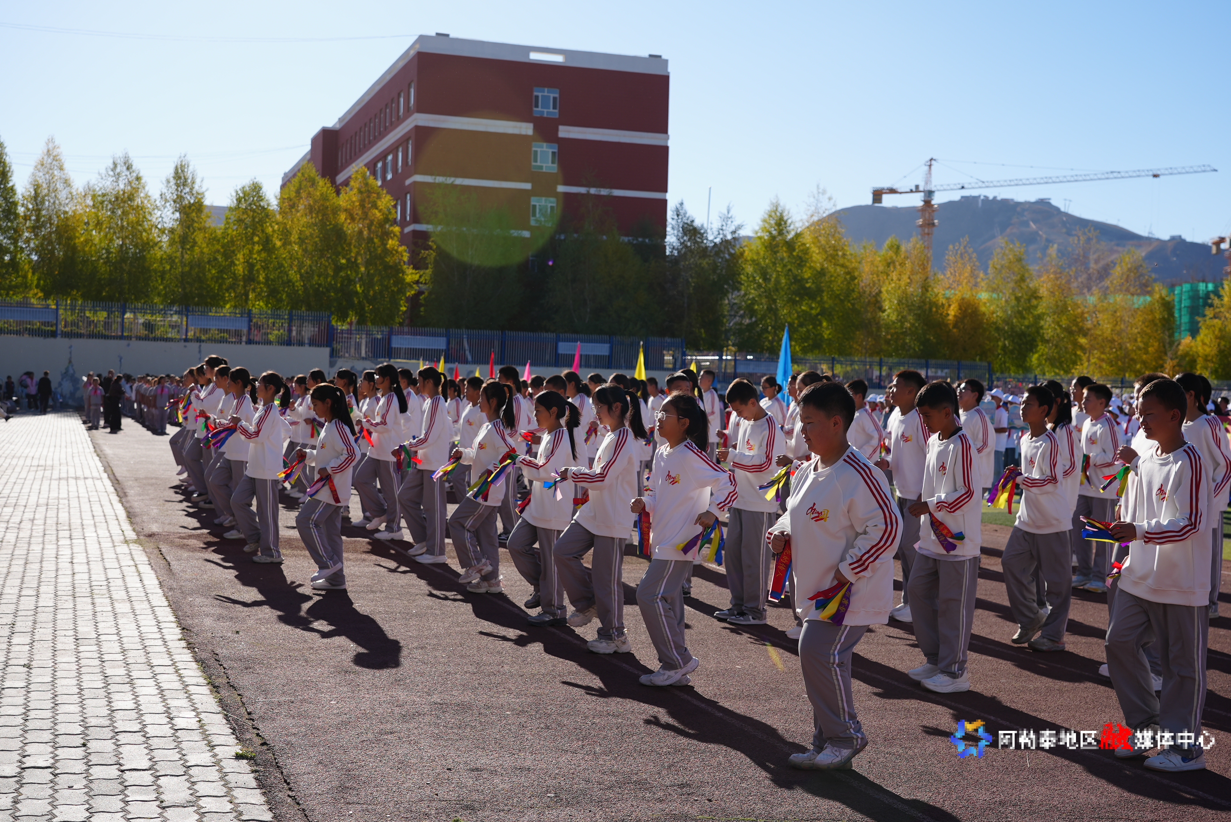 Image_1790680434473_659