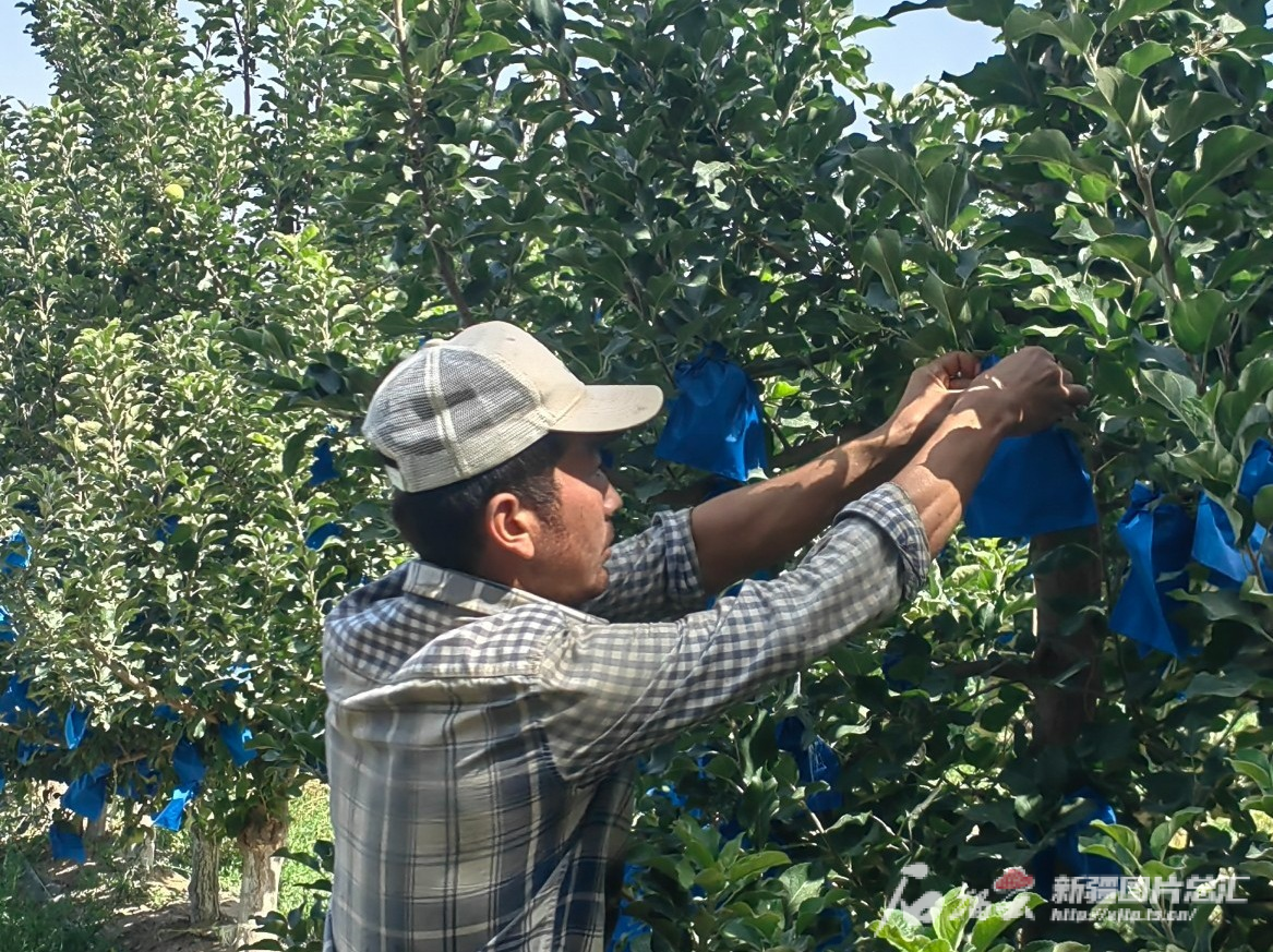 U020240810553882968940