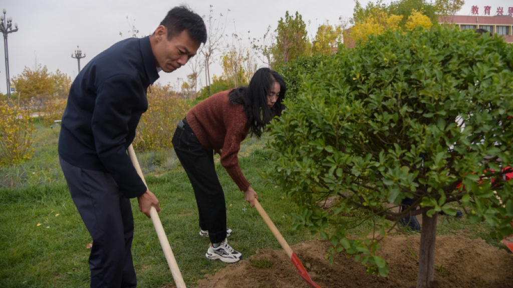 姚久穗种下英雄树。和田地委宣传部供图