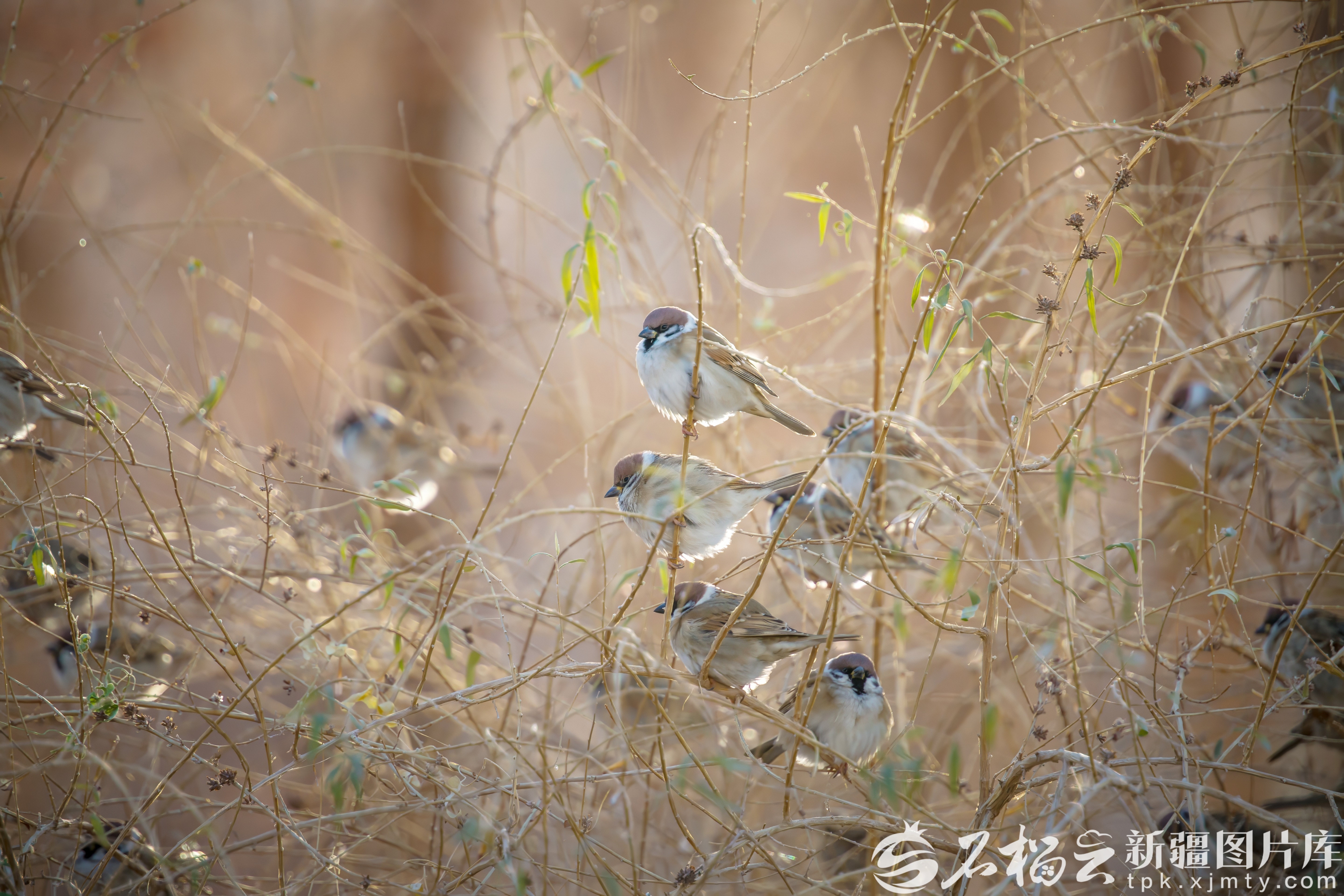 mmexport1761060115951