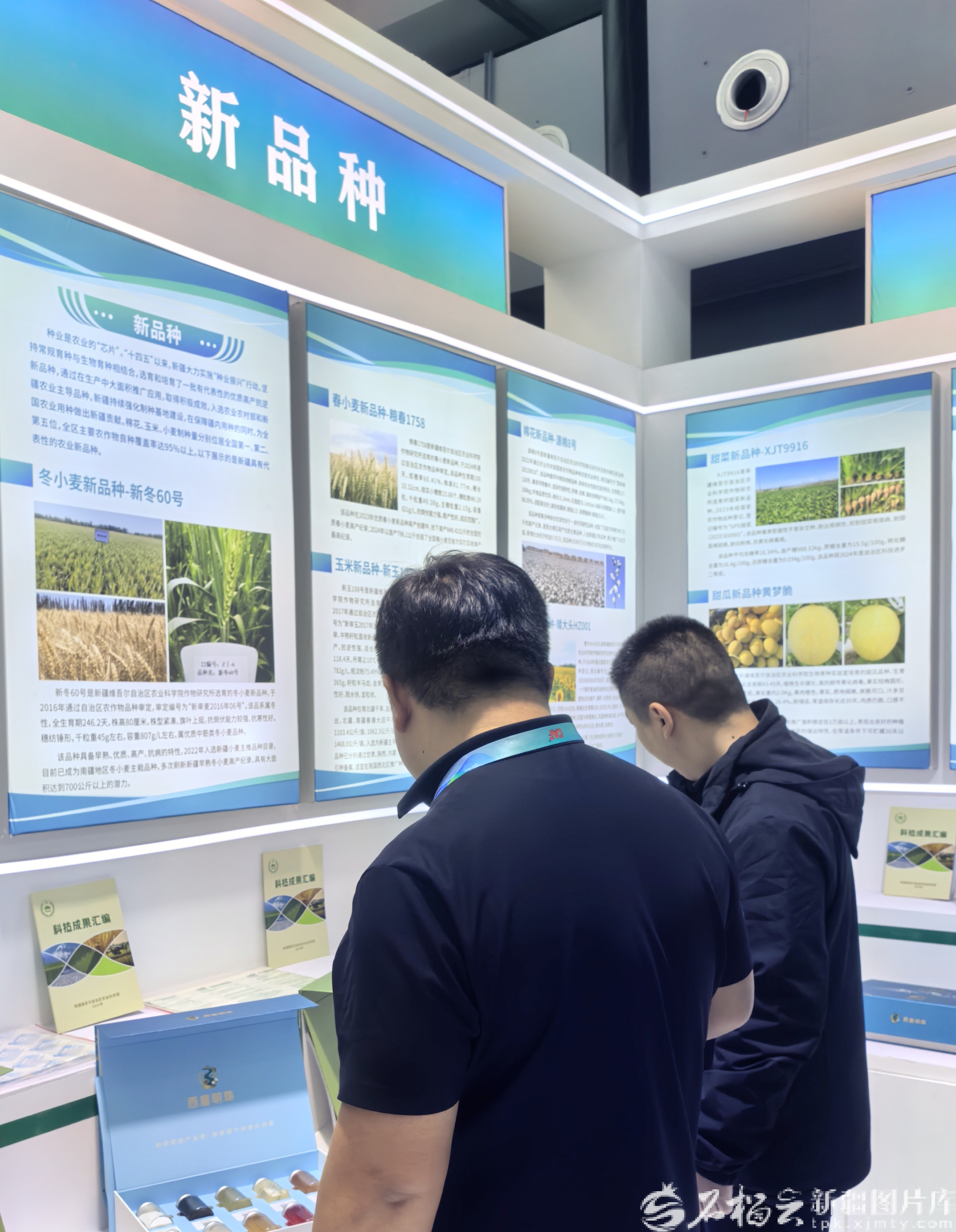 IMG_20251026_100128_edit_367453587230907