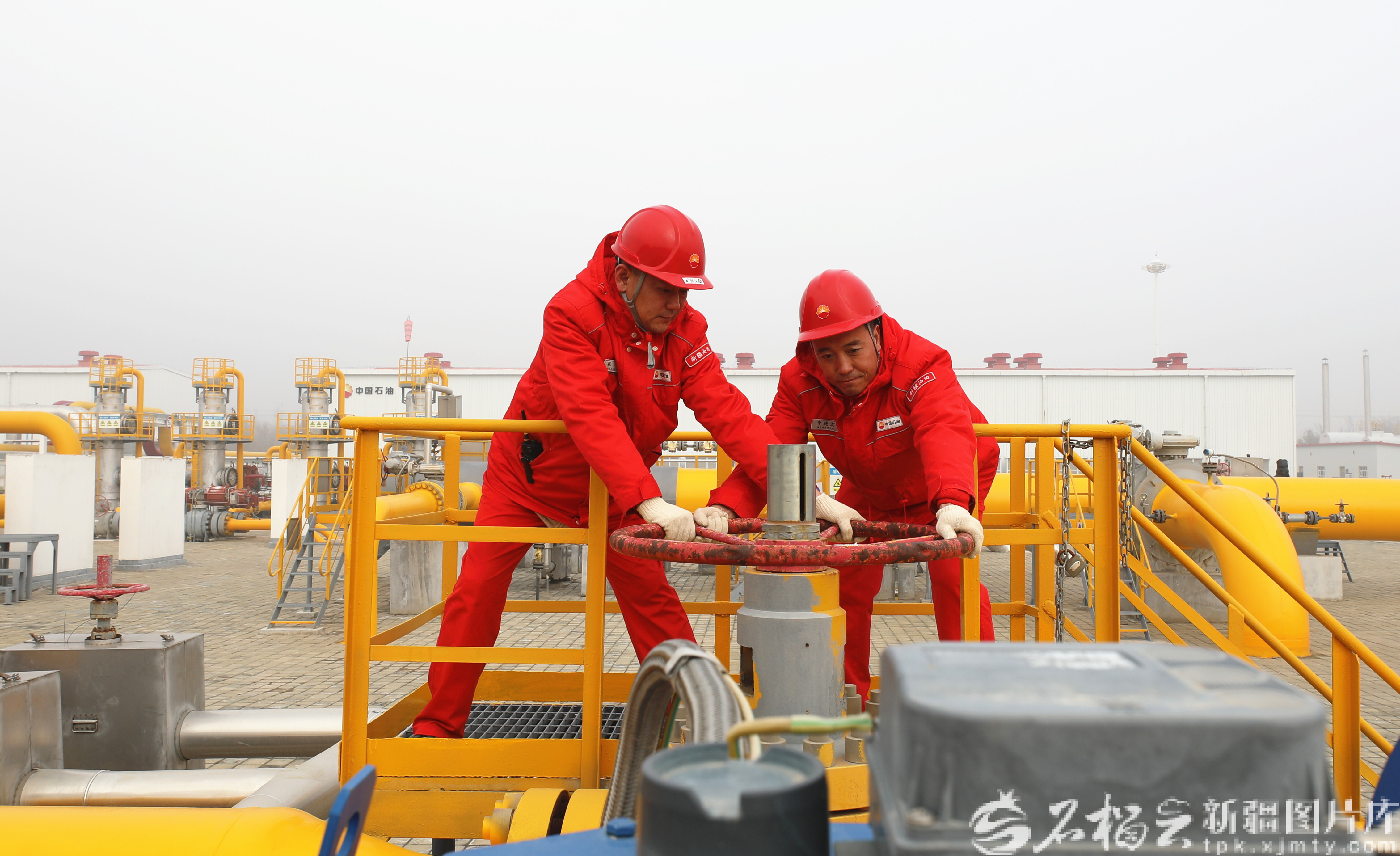 mmexport1762788099526