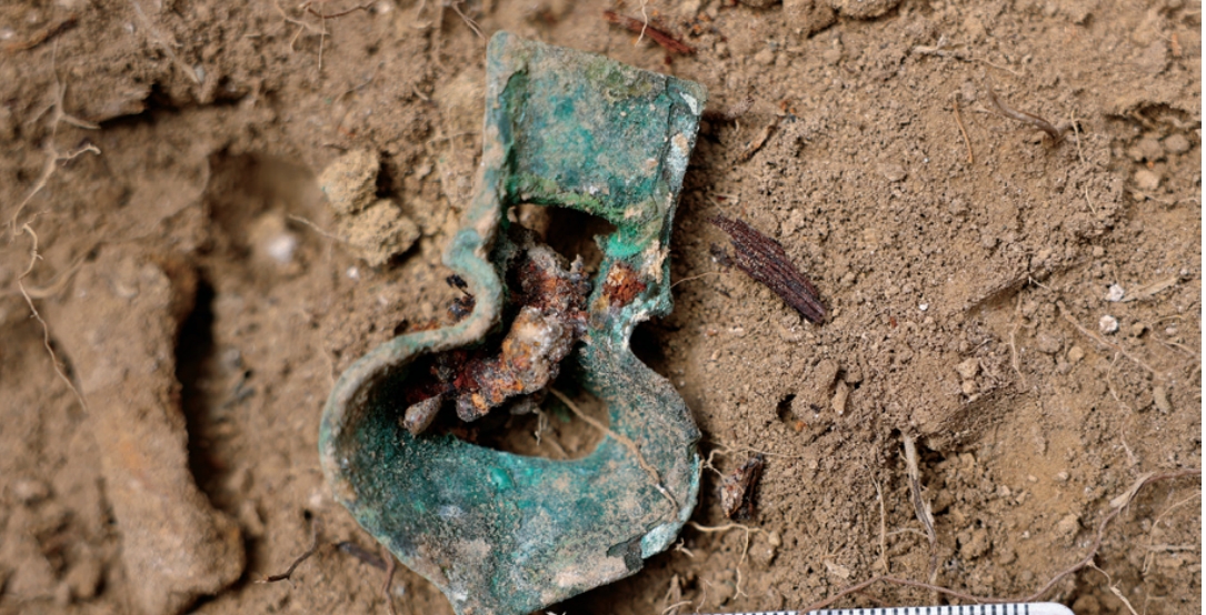 Screenshot_20260204_090349