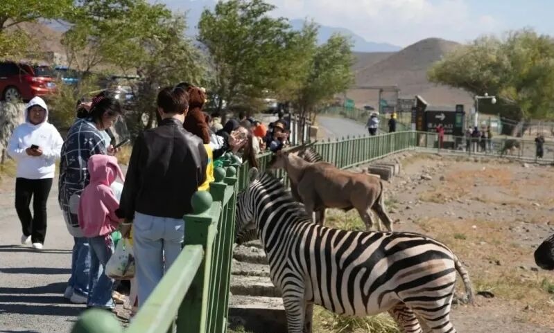 mmexport1772440843380