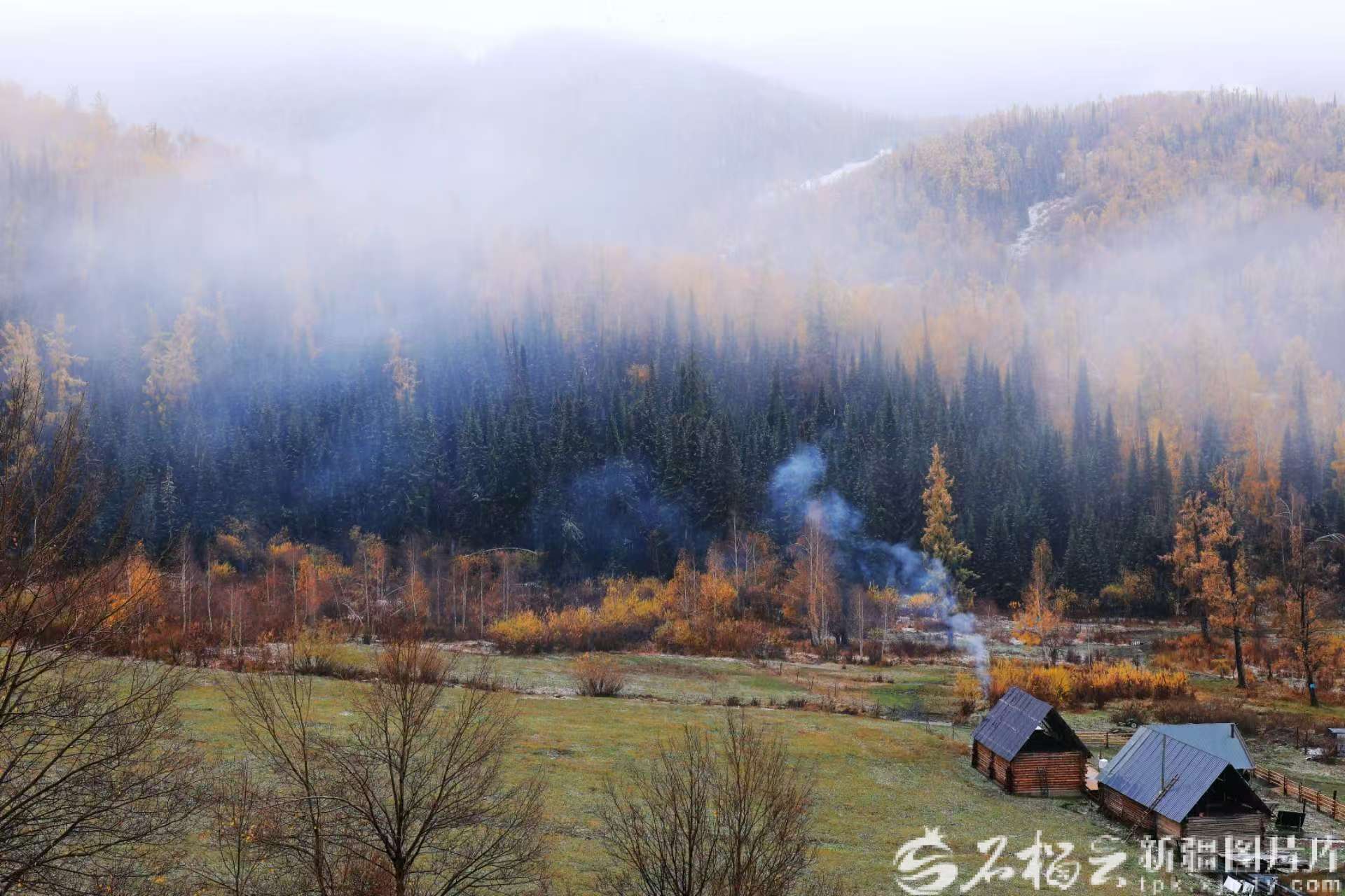 mmexport1773136001434